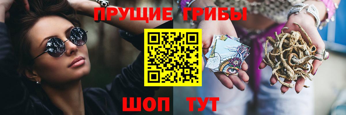 Псилоцибиновые грибы мицелий  купить наркоту  Фролово  Вход с VPN 